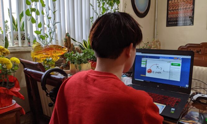 We see the an individual with short, straight dark brown hair from the back. They wear a red shirt, are sitting in a chair and are playing a computer game. There are plants on the table and hanging in the room. There's also a window with blinds.