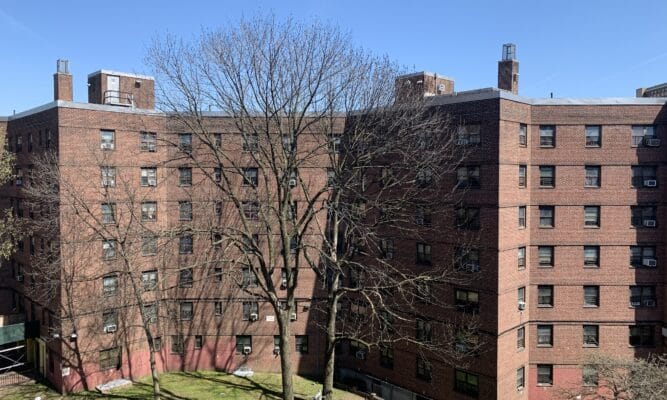 a picture of the Howard Houses, a 7-story, brick housing complex in Brownsville, Brooklyn. We see several of the buildings in the complex with a tree with no leaves in front, a little bit of green grass and a beautiful blue sky.