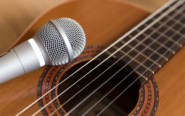 Microphone and guitar