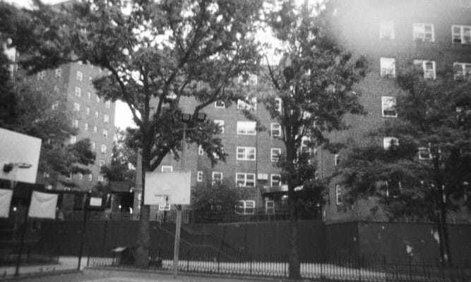 The Patterson Houses, Bronx, New York. Photo by Margaret Martinez