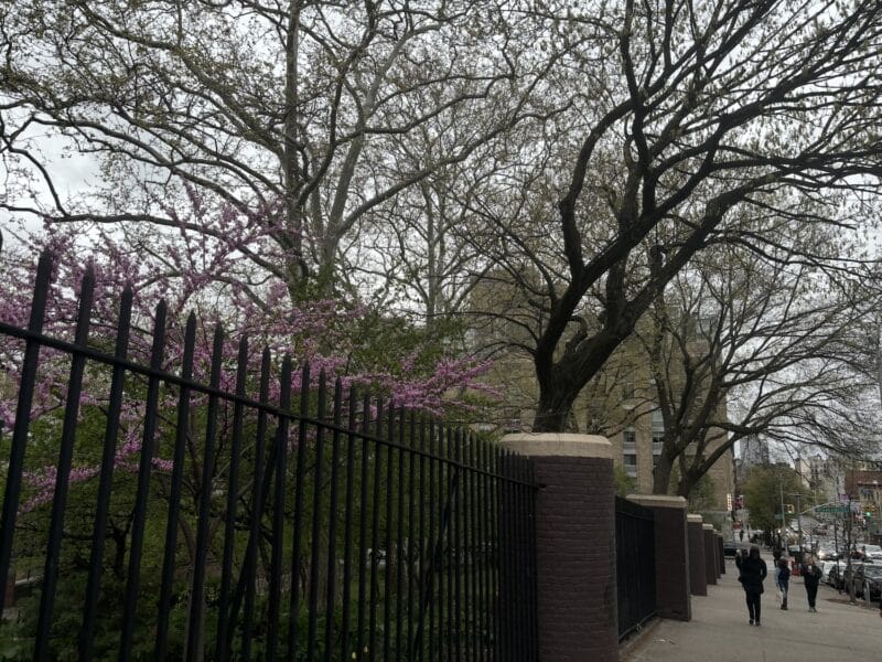 145th Street on the edge of Jackie Robinson Park