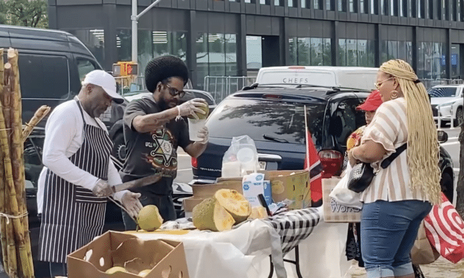 Atlantic Terminal Street Vendors