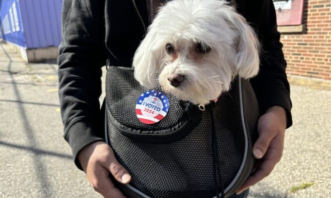 Man with dog in a bag and I voted sticker