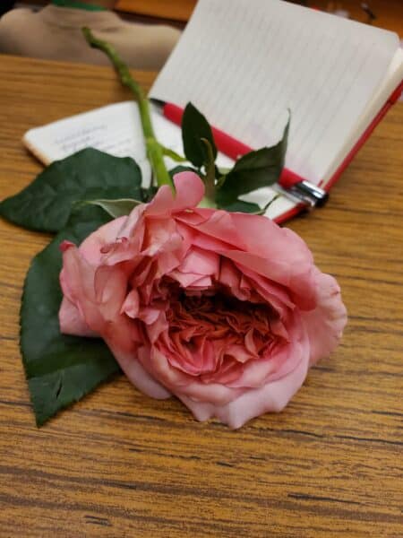 A pink rose is in the foreground of the photo, with a red notebook and pen in the background.