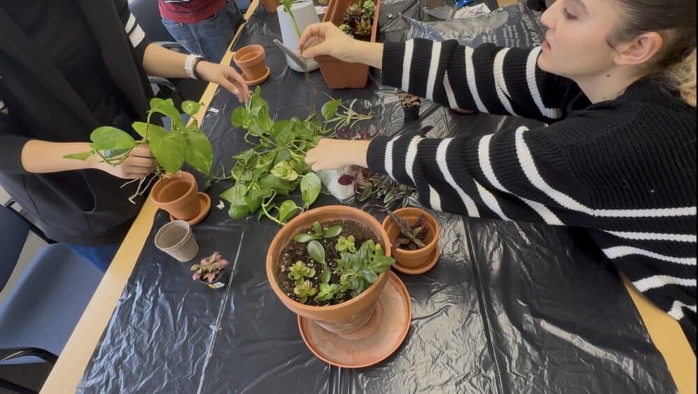 Students planting at City Colelge