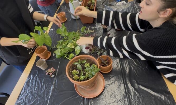 Students planting at City Colelge