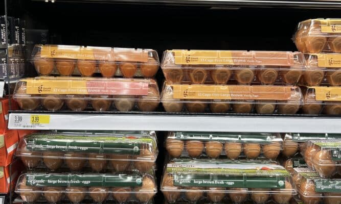 Eggs in supermarket