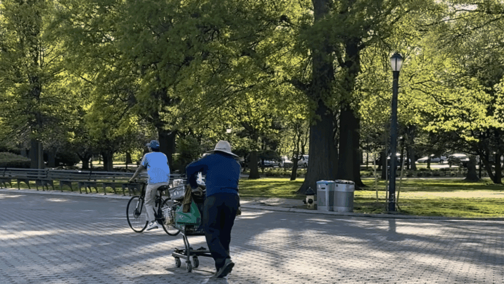 People in Flushing Meadow Park