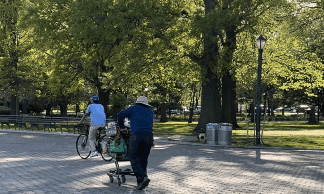 People in Flushing Meadow Park