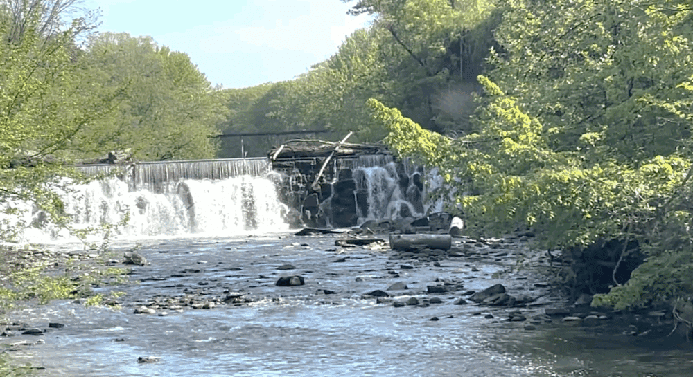 Bronx River falls