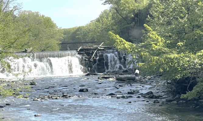 Bronx River falls