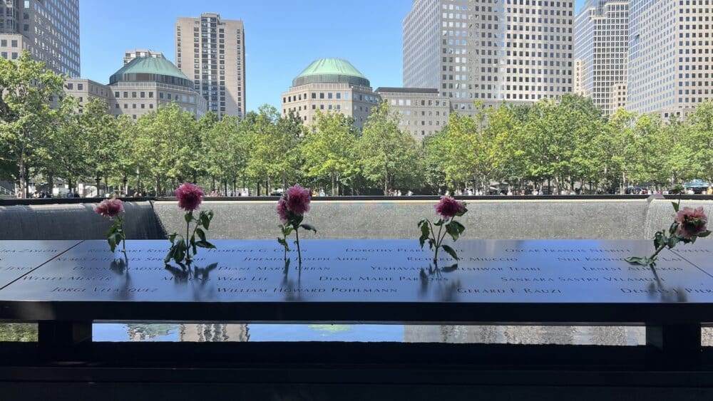 Roses and buildings at the 9/11 Memorial pool