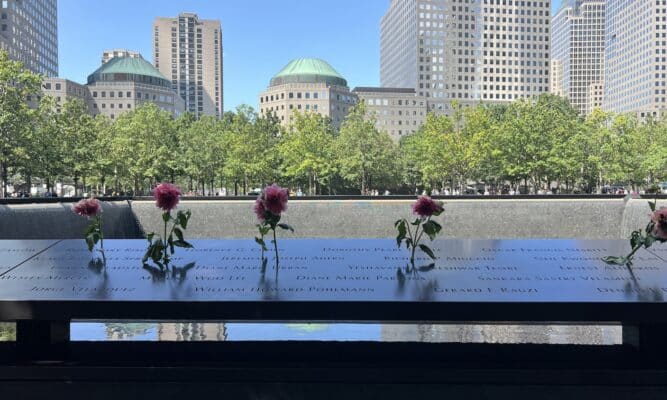 Roses and buildings at the 9/11 Memorial pool