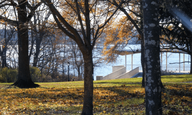 Outdoor scene from video