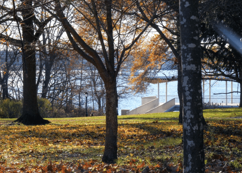 Outdoor scene from video