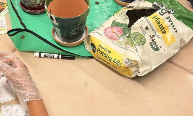 Children's hands at a crafts table.