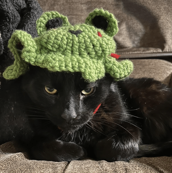 A black cat wears a knitted green frog hat