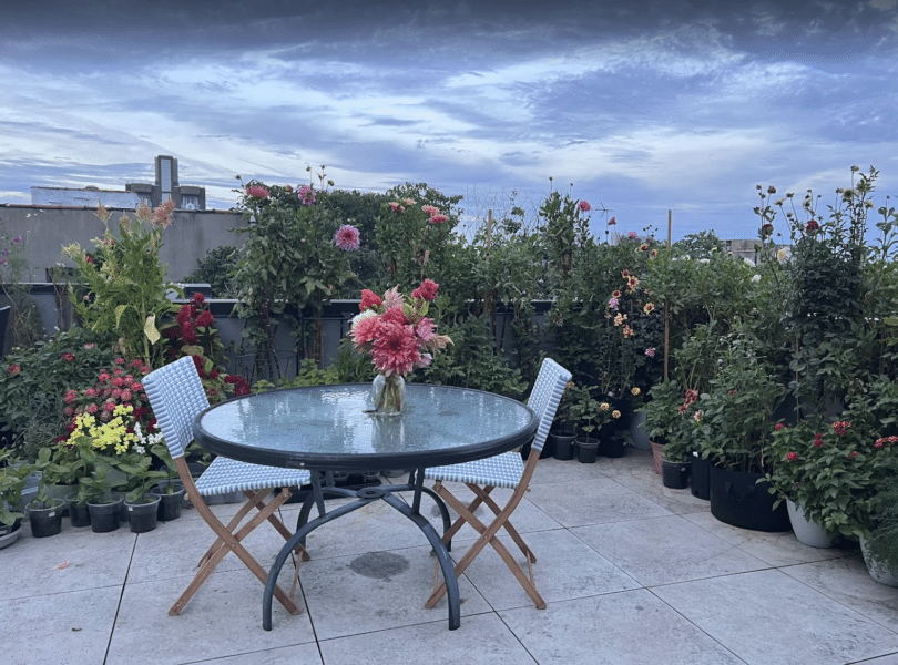 etty Liu's Williamsburg roof terrace