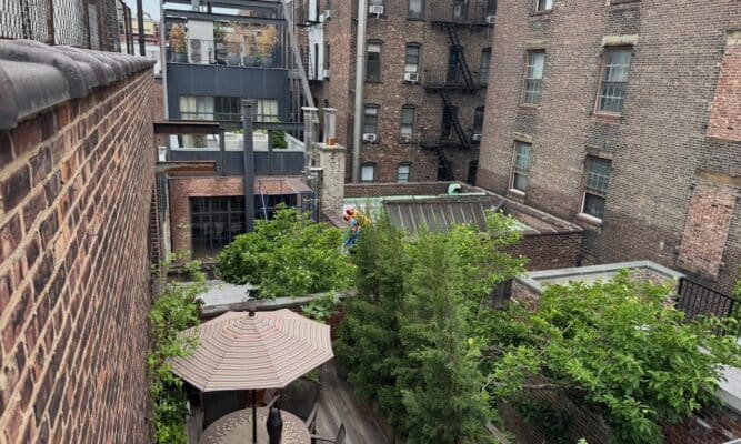 Rooftop garden view from above