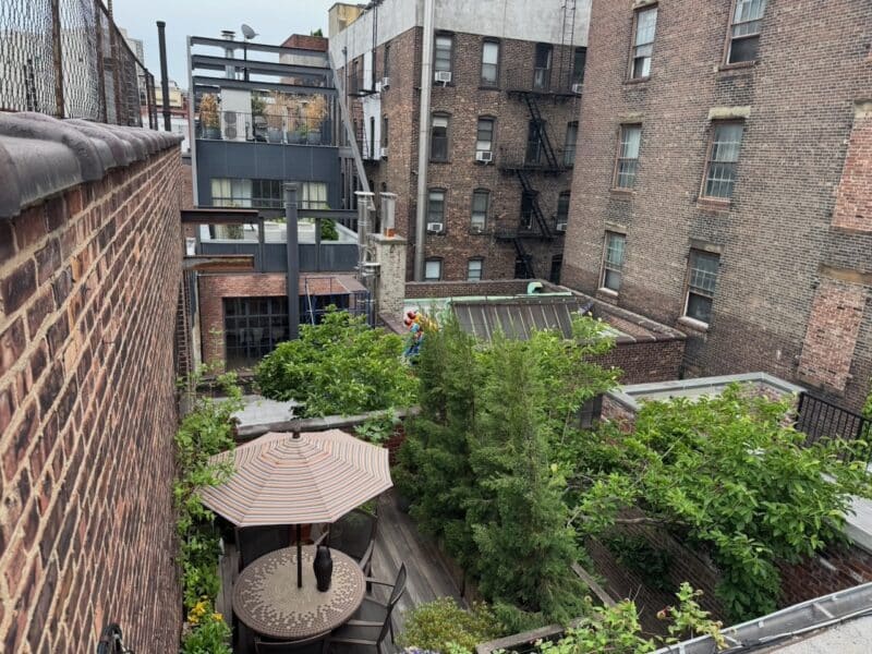 Rooftop garden view from above